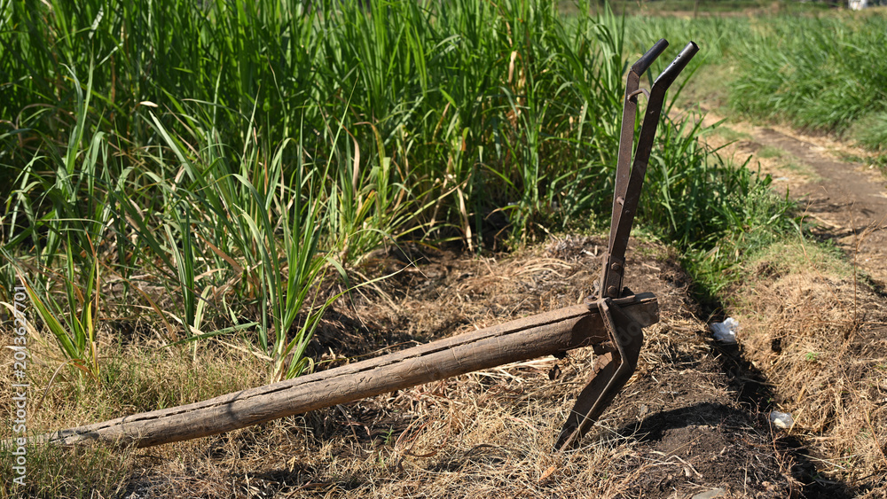Fototapeta premium Traditional agriculture plow in rural farm field