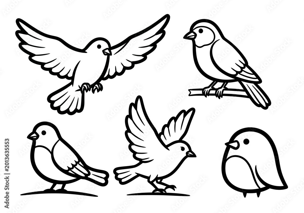 Fototapeta premium Set of Bird Illustration Vector Outlines: Flying and Perching Songbird Icons