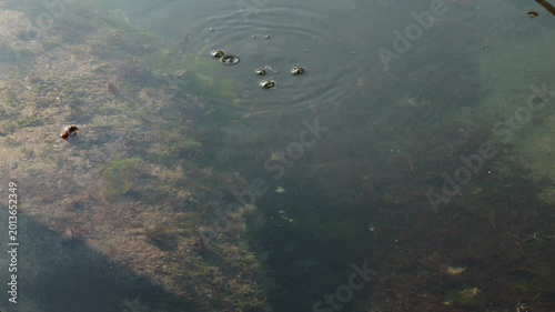 Shallow ocean floor and air bubbles rising slow motion stock footage