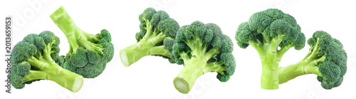 Tableau sur toile Set of fresh broccoli florets in different positions, isolated on cutout transpa