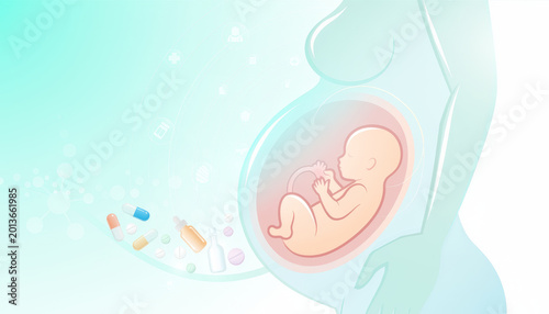 Pregnant woman silhouette with fetus inside womb and prenatal medication pills and vitamins for healthy pregnancy care concept