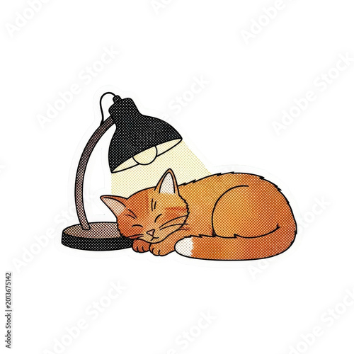 Sleeping cat under a warm lamp.