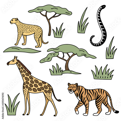 Photography set of wild animals