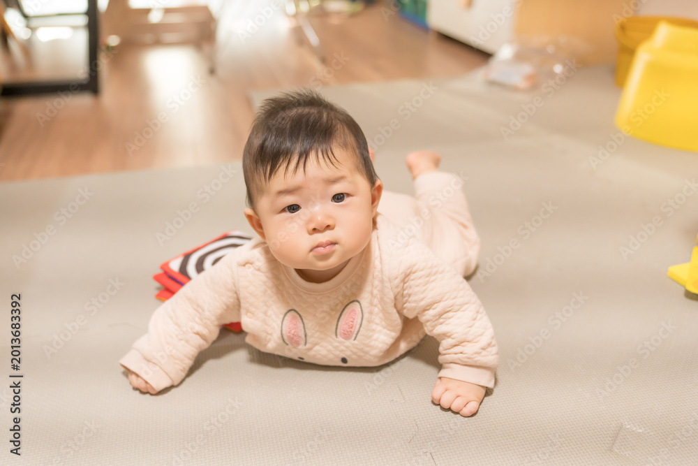 Naklejka premium うつ伏せでカメラを見つめるうさぎ柄ロンパースの日本人の男の赤ちゃん