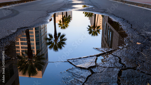 Urban Reflection: Palm Trees and Buildings Mirrored in Pothole