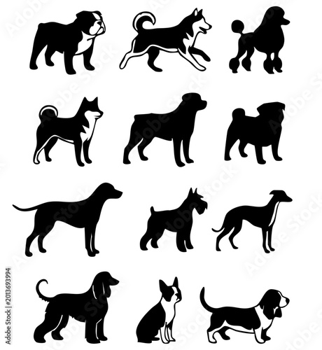 Cuadro en lienzo set of silhouettes of dogs, Professional Dog Silhouette Collection, Various Pedi