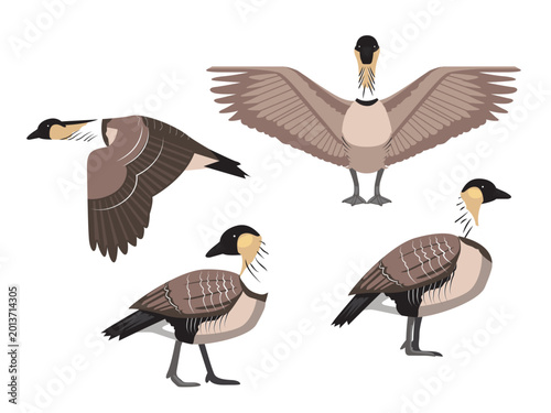 Hawaiian Nene Goose Cartoon Various Poses Vector Illustration