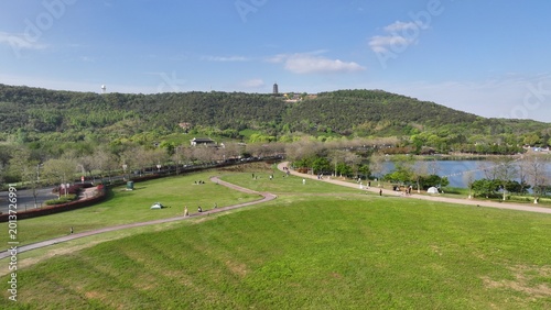 Aerial View of Green Park with Winding Path
