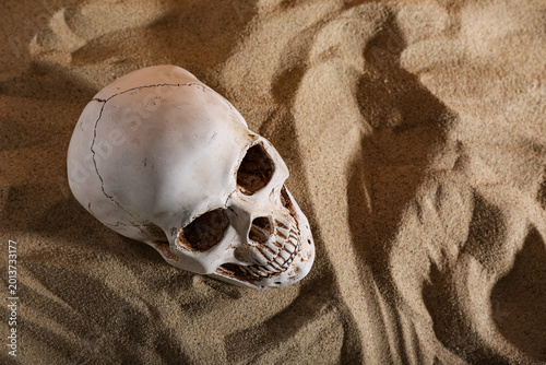 Εκτύπωση καμβά Human skull resting on desert sand, close up of cracked skeleton head in arid la