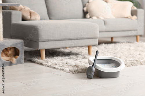 Cat litter box with silica ...