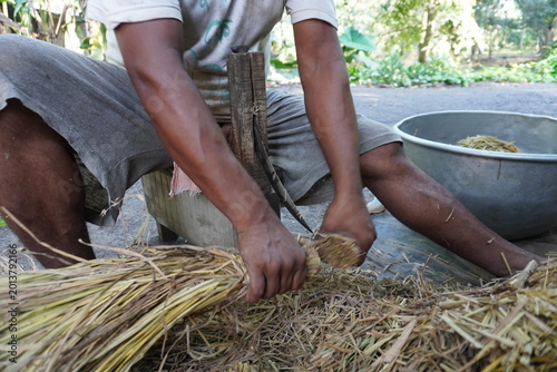 Canvastavla Farmer Threshing Rice Stalks by Hand with Metal Basin