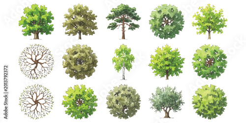 Foto Set of different green trees seen from above for landscape design plans and arch