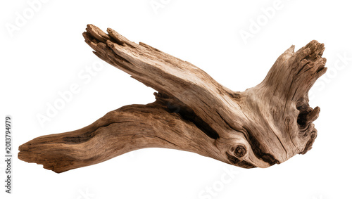 Isolated piece of rustic weathered driftwood with unique organic texture and abstract natural shape