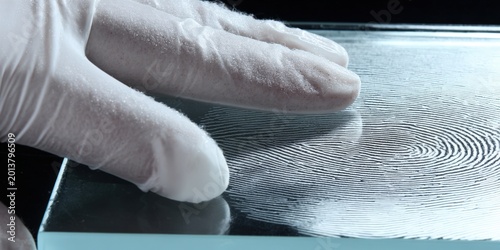 Forensic expert collecting fingerprint evidence for investigation