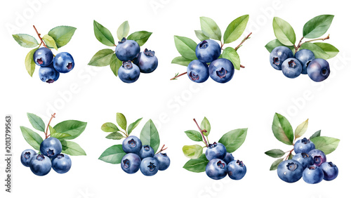 Watercolor illustrations of fresh blueberries with green leaves on a white background, perfect for food and beverage designs