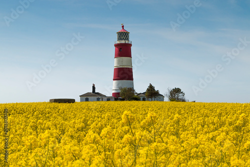 happisburgh lighthouse rapeseed field