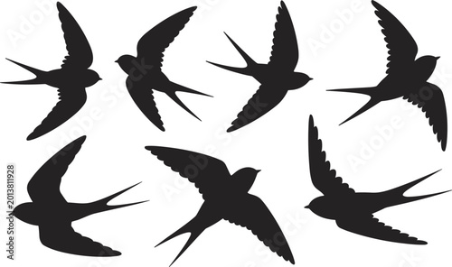 Foto Flying swallow bird silhouettes set black wildlife vector illustration isolated