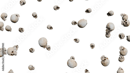 Cuadro en lienzo Floating Skulls on White Background
