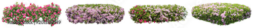 Collection of four flowering bushes, two with pink roses and two with purple flowers, isolated on transparent background