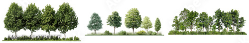 Collection of diverse trees and bushes isolated on transparent background