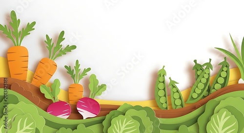 Vegetable garden illustration