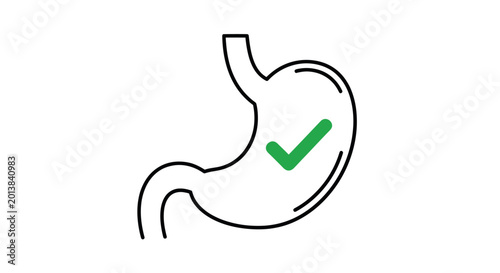 Healthy stomach icon with a green checkmark symbol for good digestion and gut health.