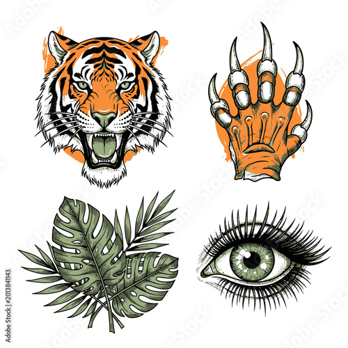 Tiger head paw eye and leaves set vector illustration isolated on white