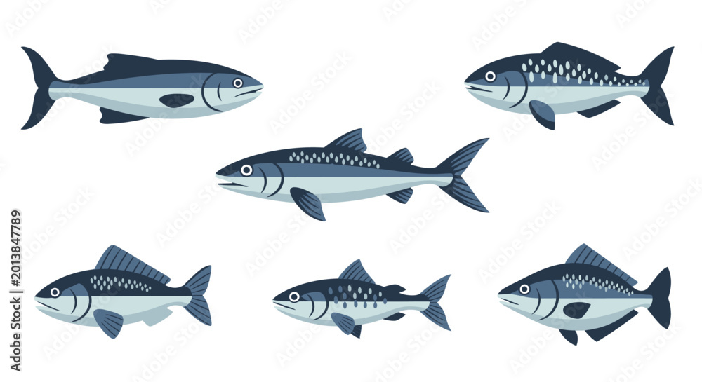 Fototapeta premium Set of stylized fish illustrations diverse marine species in a vector format
