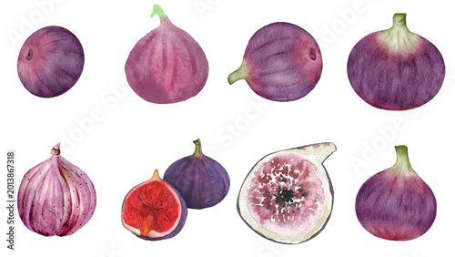 Bild auf Leinwand Artistic Watercolor Rendition of Fresh and Juicy Purple Figs, Showcasing Whole a