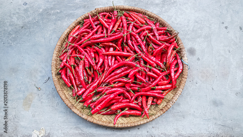 Foto chilies dried on a tray