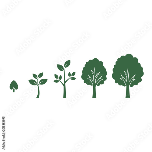 Green trees in different stages growth.