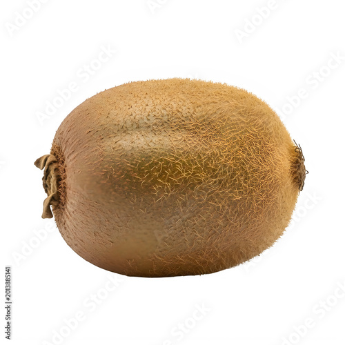 Whole kiwi fruit with brown fuzzy skin isolated on transparent background