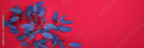 Bild auf Leinwand Green leaves and dark berries on bright red background create a simple and catch