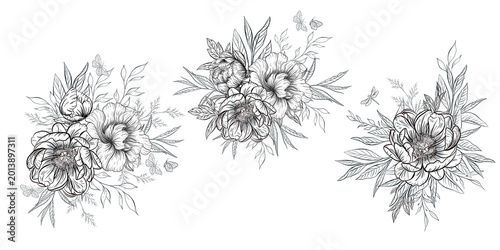 Hand drawn peony flower collection in vintage engraving style