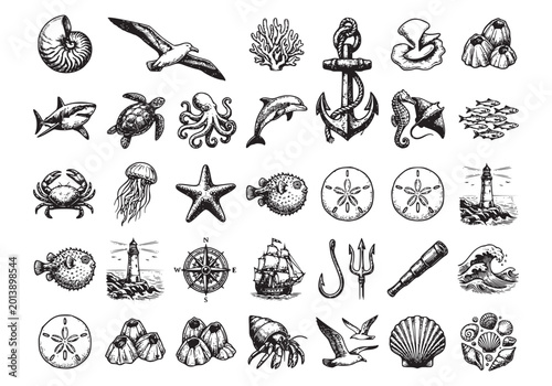 Underwater marine life set featuring tropical fish shark sea turtle octopus jellyfish starfish coral shell crab and sea creatures for ocean themed illustration.