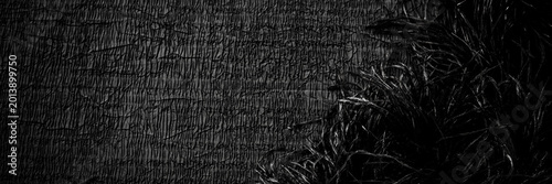 Foto Dark textured surface with strands of grass in a stark black and white setting d