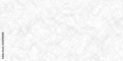 Minimal topography map area wallpaper. abstract topo paper lines. Topographic contour lines grid map pattern. mountain relief. Contour hiking design wallpaper.