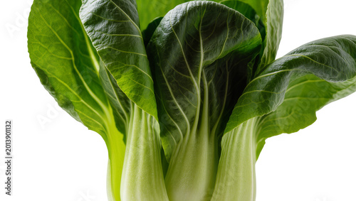 Isolated fresh organic bok choy bunch, crisp green leaves, healthy culinary vegetable ingredient