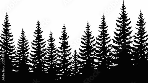 Konstfotografi forest silhouette a solid black depiction of coniferous trees against a white ba