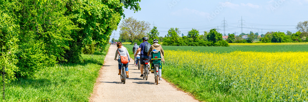 Obraz premium Group of friends riding bicycles on a path beside a green field on a sunny day in spring