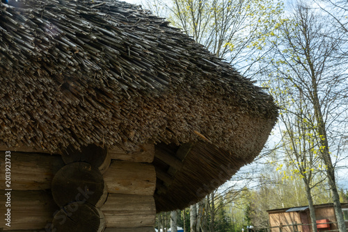 Traditional thatched roof made of natural reeds on a rustic log house in the forest. Close up of a thick organic thatched roof construction with detailed textures and wooden logs under the spring sun