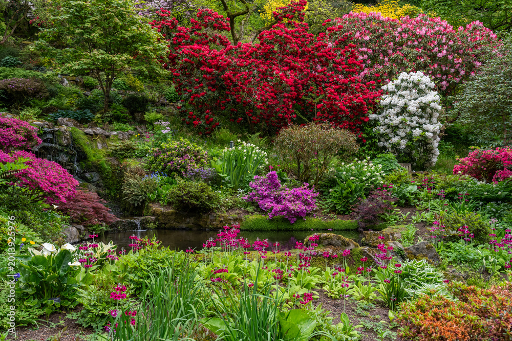 Fototapeta premium A beautiful spring garden in full bloom