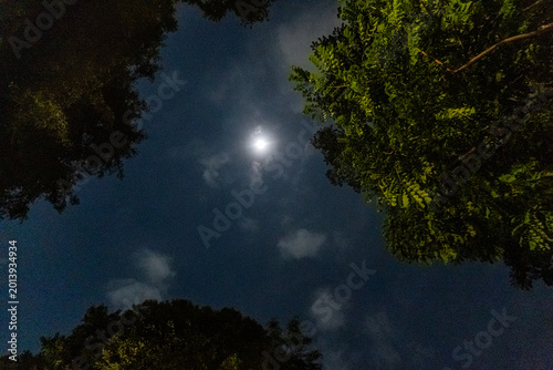 月の熱帯夜、シンガポール