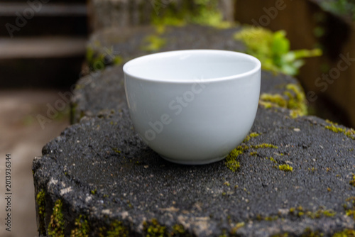 White Ceramic Cup On Mossy Stone Outdoors Minimalist Bowl In Natural Garden Setting