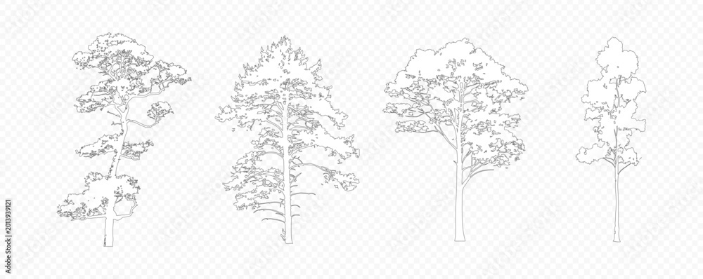 Fototapeta premium Architectural Drawings, Minimal style cad tree line drawing, Side view, set of section wetland forest outline for landscape design drawing. 