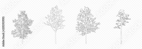 Architectural Drawings, Minimal style cad tree line drawing, Side view, set of section wetland forest outline for landscape design drawing. 