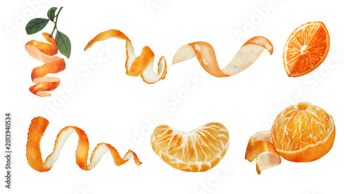 Bild auf Leinwand Vibrant watercolor set of fresh citrus elements orange peels, juicy fruit slices