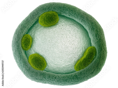 Konstfotografi Isolated microscopic view of complex green cell or microbial structure with inte