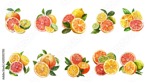 Obraz na plátně Vibrant watercolor collection of fresh citrus fruits, featuring grapefruit, oran