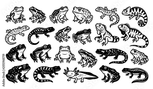 Bilde på lerret Variety of amphibians and reptiles collection vintage style vector illustration
